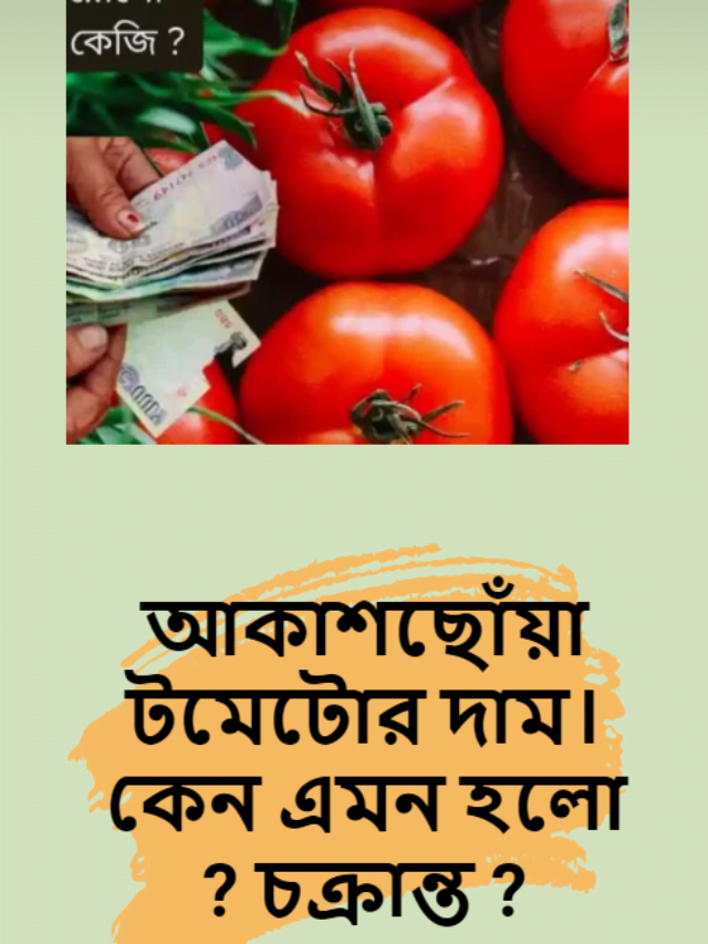 Tomato Price Hike: 100 টাকা দিয়ে আর কতদিন টমেটো কিনতে হবে ?